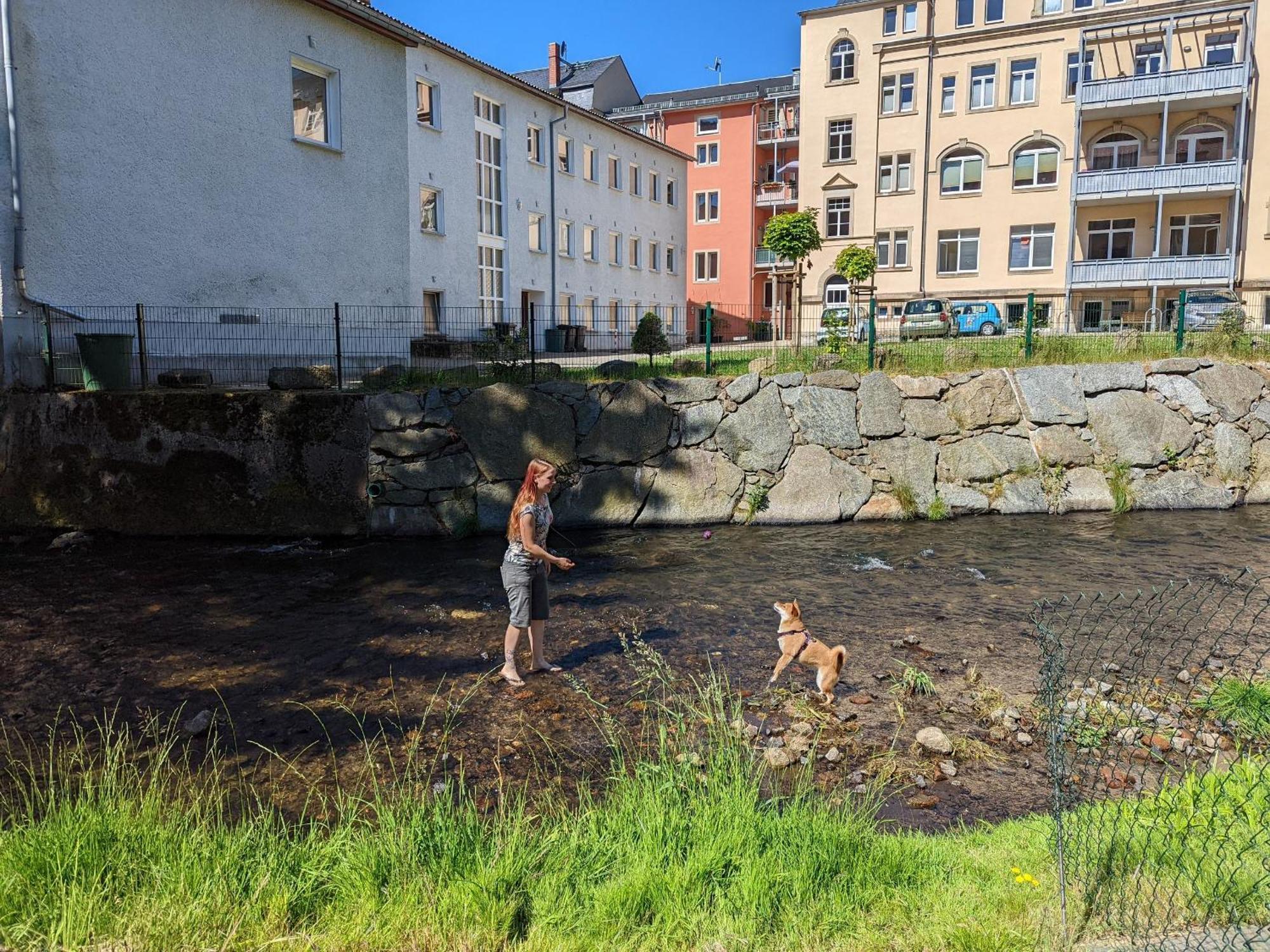 Apartment F4 - Urlaubsmagie - Grosse Fuer Bis Zu 10 Personen Sebnitz